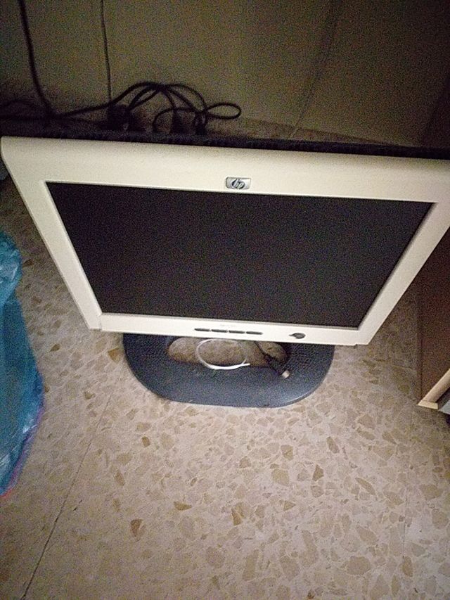vendo monitor HP
