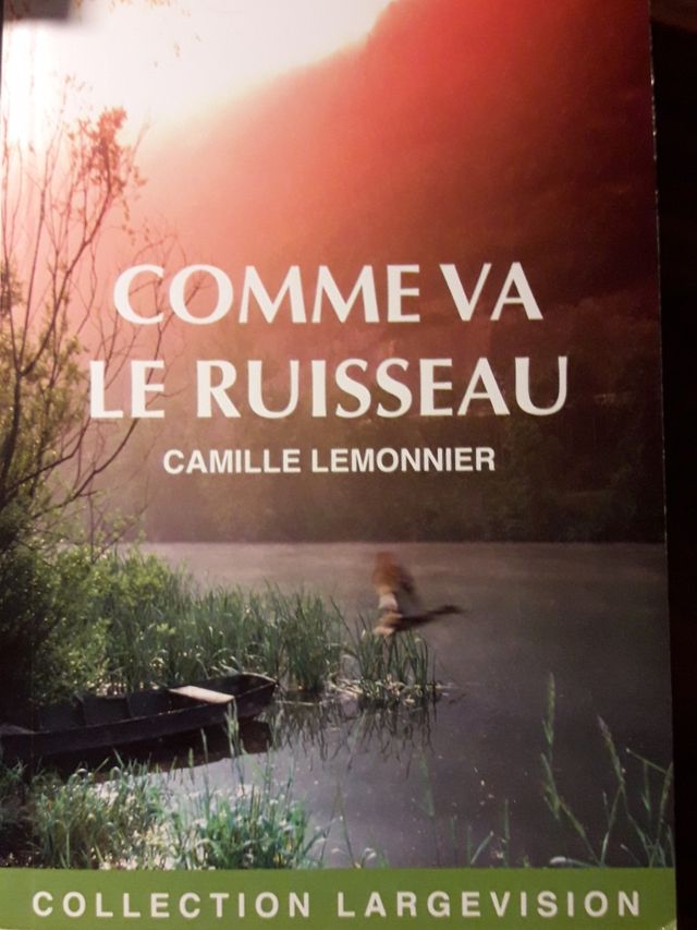 Lectura en francés T2