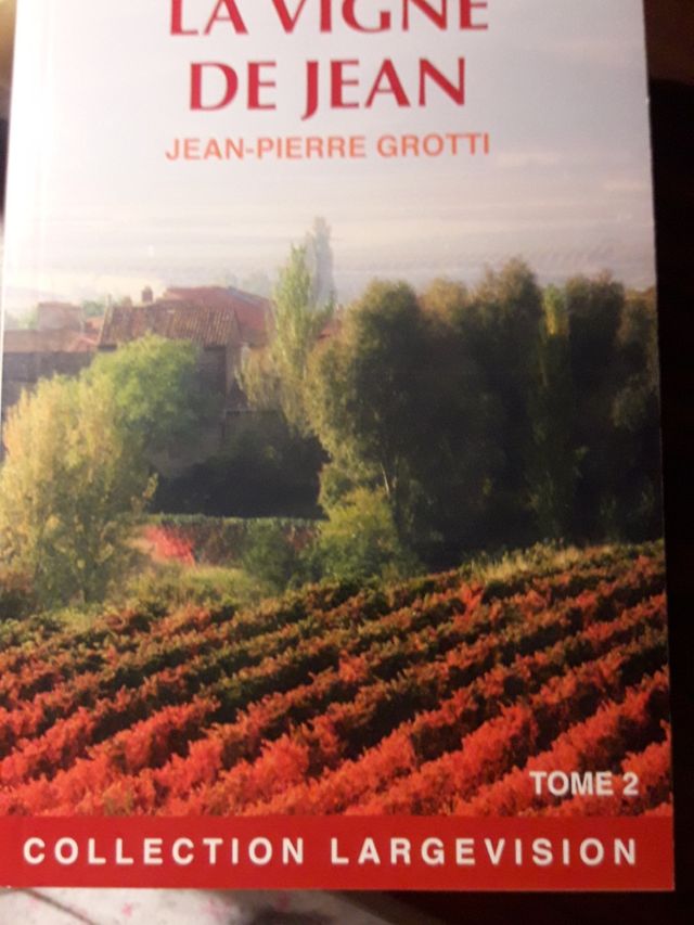 Lectura en francés T2