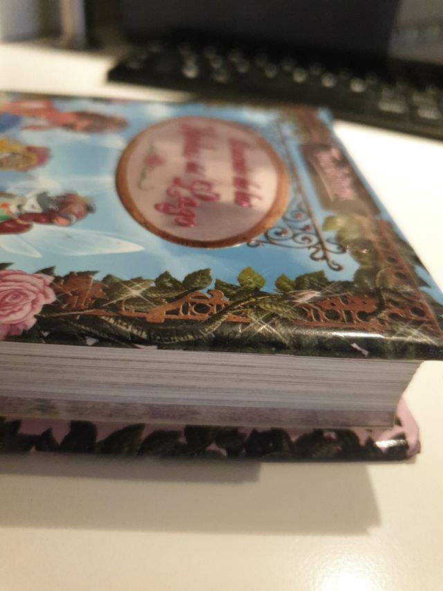 Libro El Secreto de las Hadas del Lago