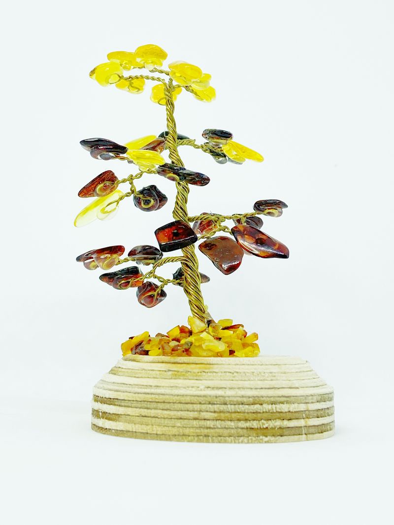 Tree Branches for sale in UK 61 used Tree Branches