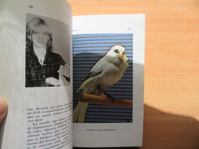 Libro Cómo criar los canarios