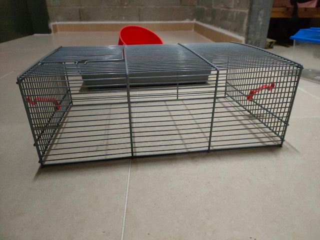 jaula hamster