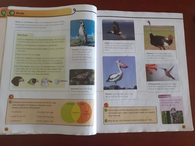 LIBRO NATURAL SCIENCE TERCERO PRIMARIA