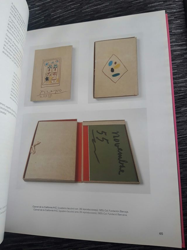 Picasso. La alegría de vivir. Javier Molins