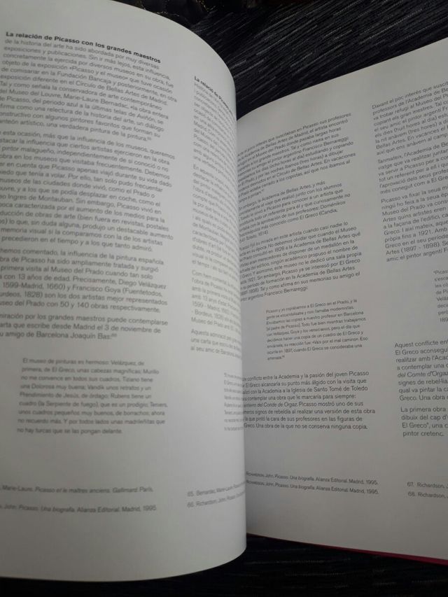 Picasso. La alegría de vivir. Javier Molins