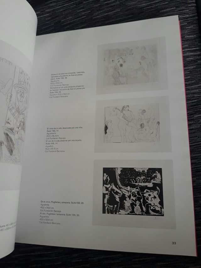 Picasso. La alegría de vivir. Javier Molins