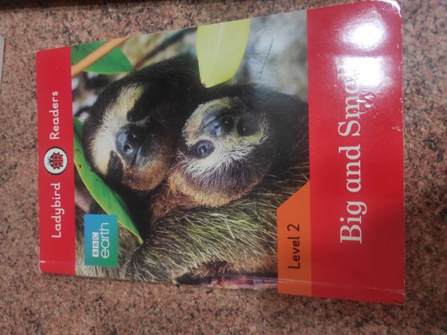 libro en ingles