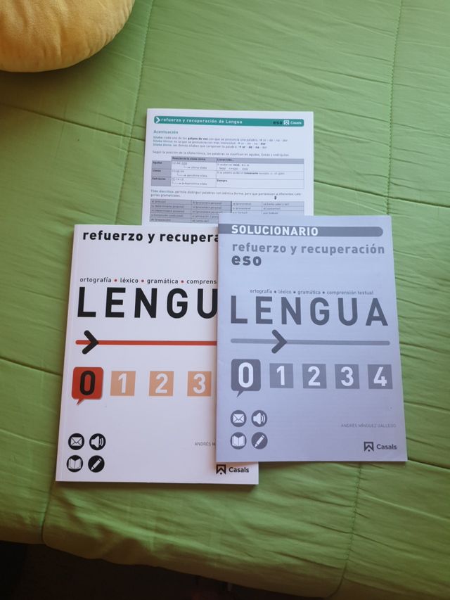 REFUERZO Y RECUPERACIÓN DE LENGUA.