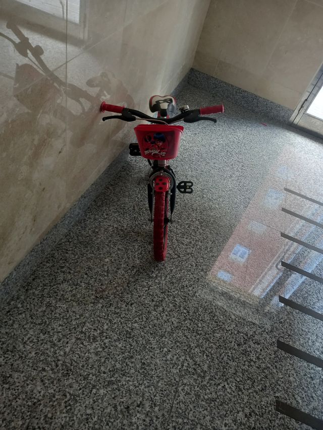 bici holandesa ladybug