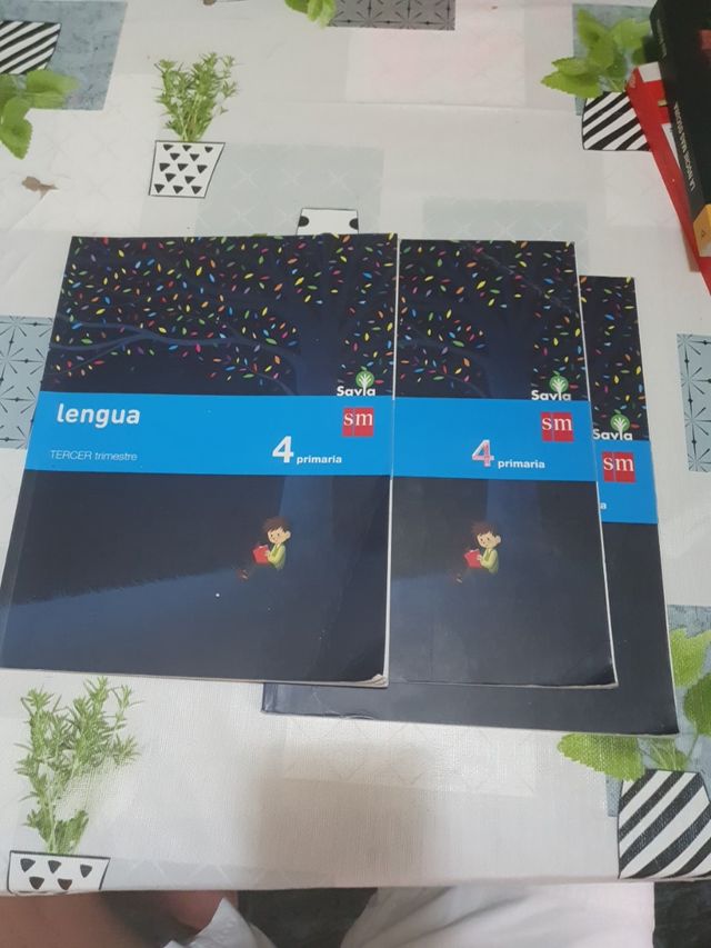 Libri linguistici di quarta elementare