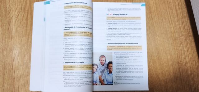 TELEASSISTENCIA - CFGM - ALTAMAR - 2013