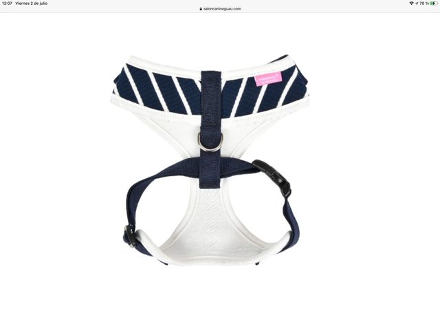 Arnés y correa para perro pequeño