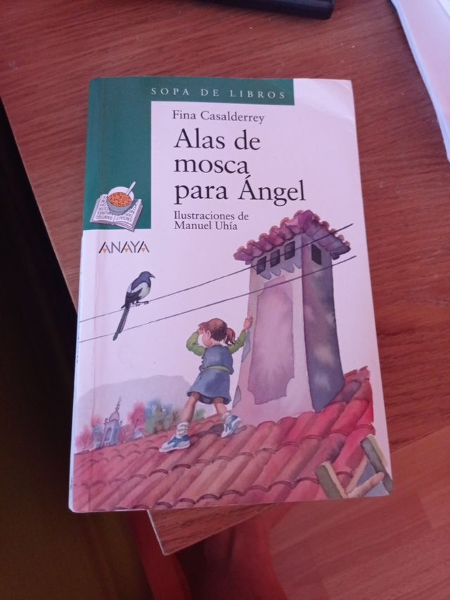 Alas de mosca para Ángel