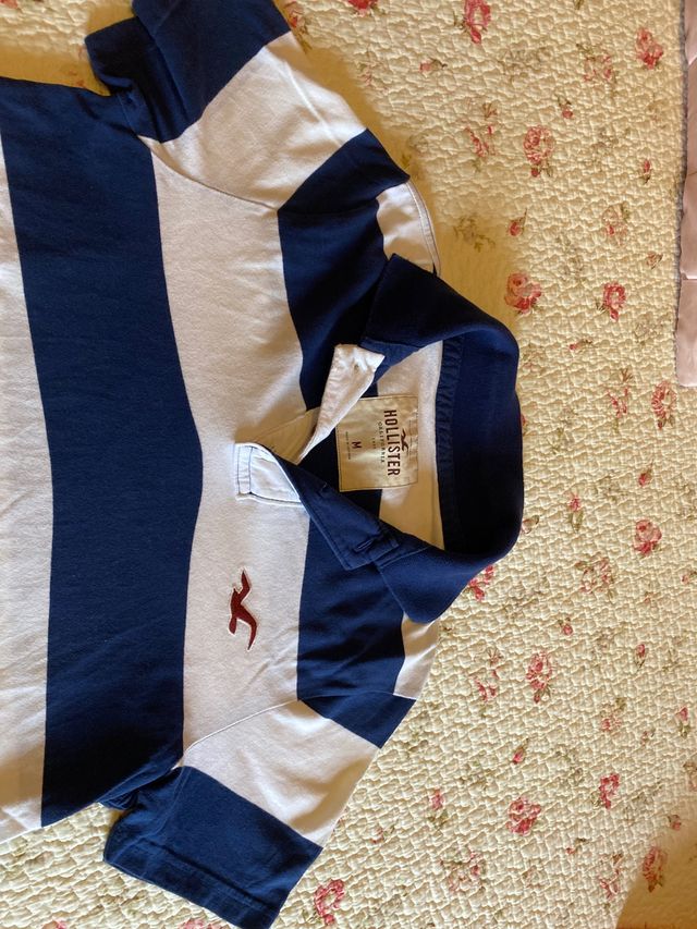 Polo Hollister