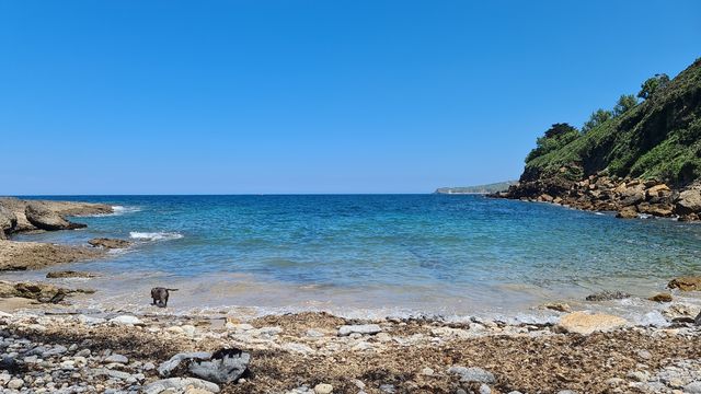 custode di animali a San vicente de la barquera