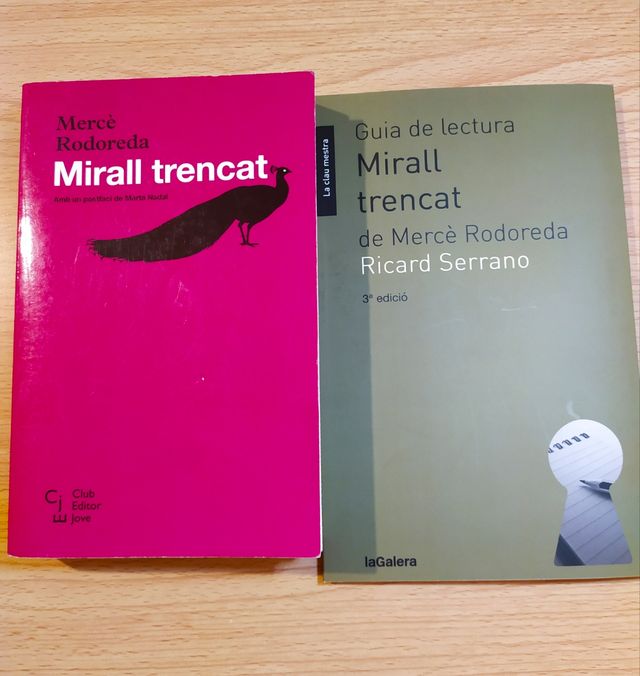 Guia de lectura Mirall trencat 