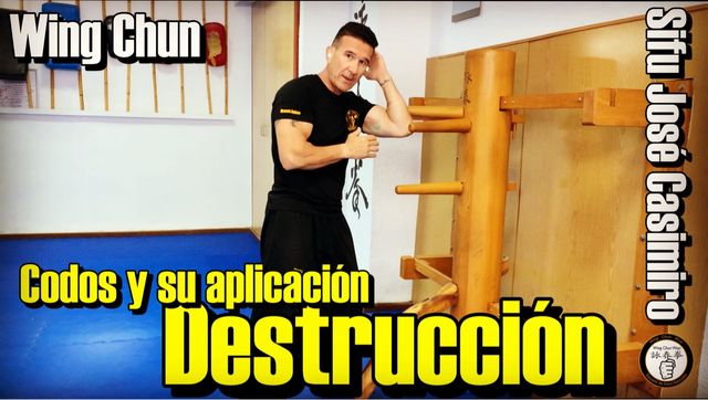 Wing Chun Kung Fu online