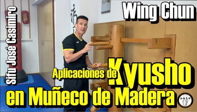 Wing Chun Kung Fu online