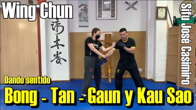 Wing Chun Kung Fu online