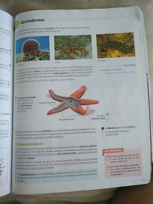 Biología y geología SM 1ESO serie Arce