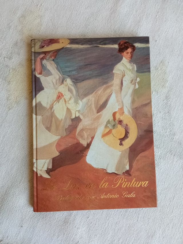 Libro LA LUZ EN LA PINTURA