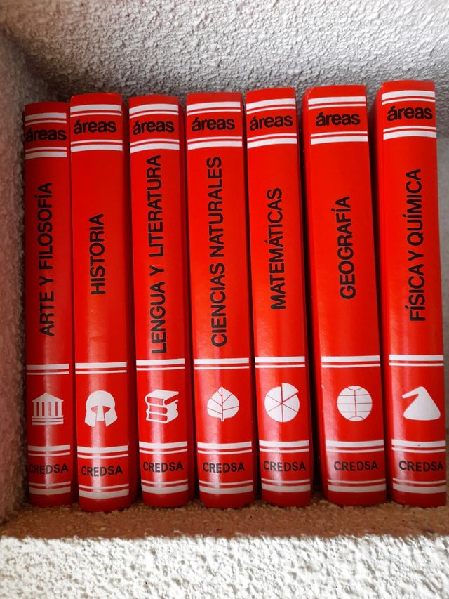 Consultor Didactico Áreas