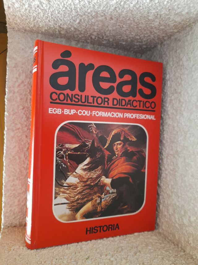 Consultor Didactico Áreas