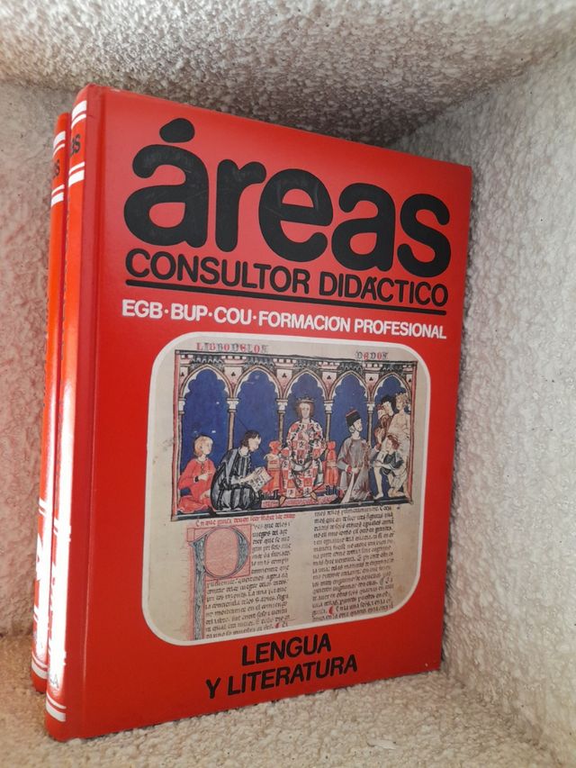 Consultor Didactico Áreas