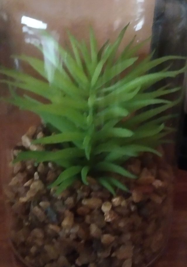 DECORACIÓN Planta artificial