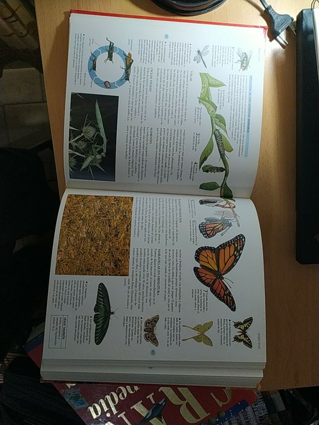 Pack 2 atlas ilustrados a color