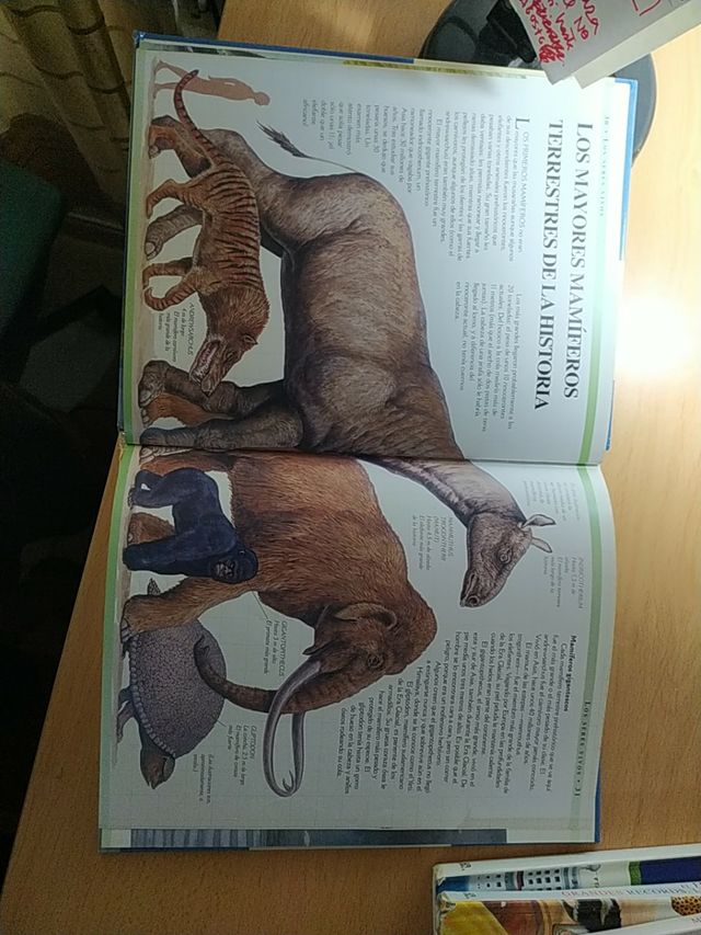 Pack 5 libros ilustrados