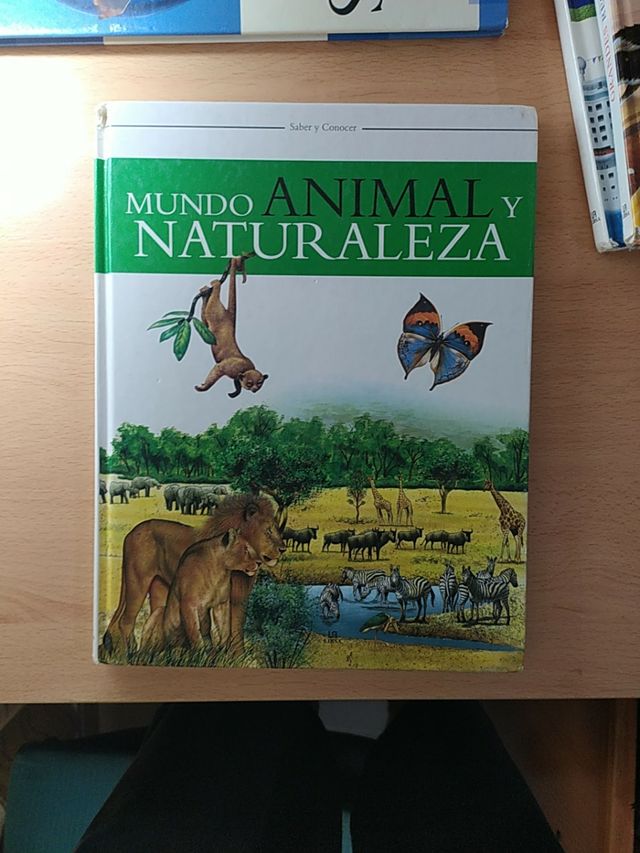 Pack 5 libros ilustrados