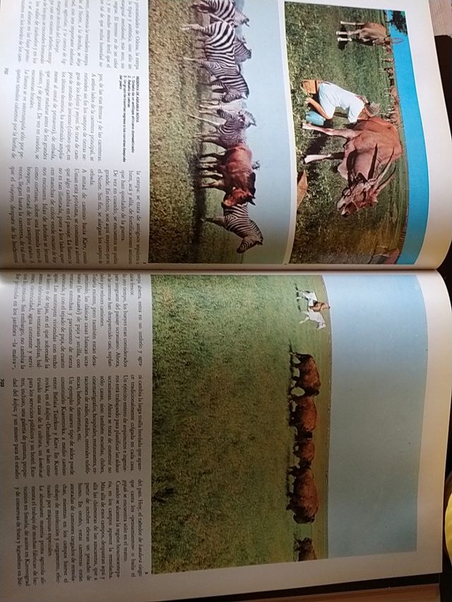 La Unión soviética