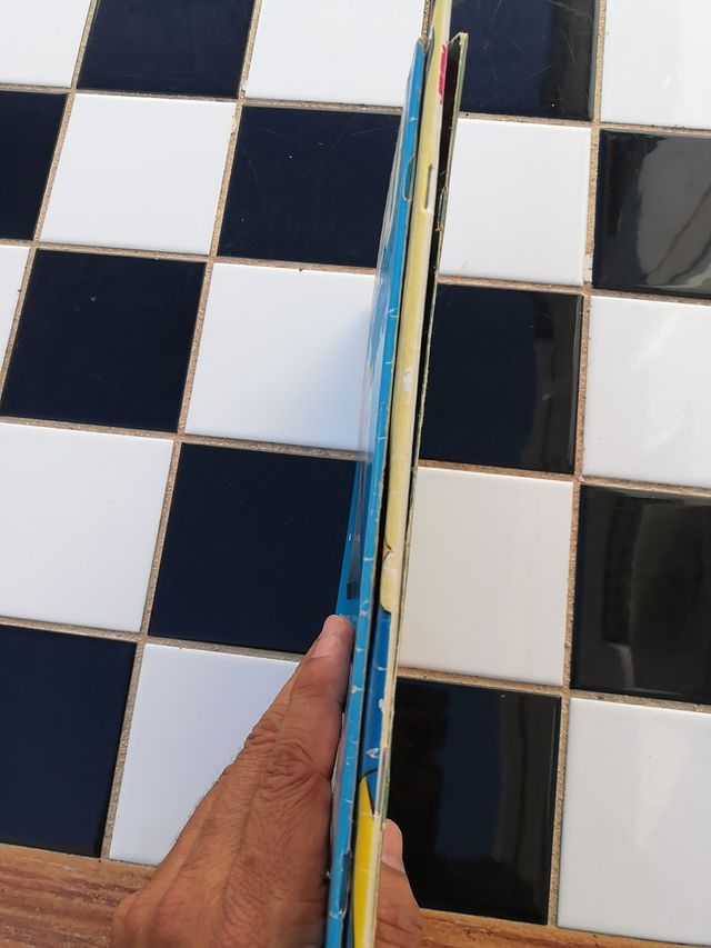 Lote Walt Disney: Mickey, Yo, Donald, Pato Donald.