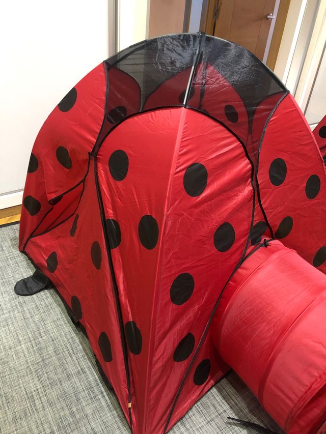 Casa mariquita de bolas