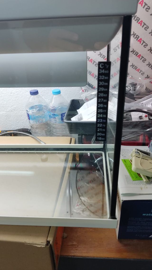 Acuario con luz 100 L