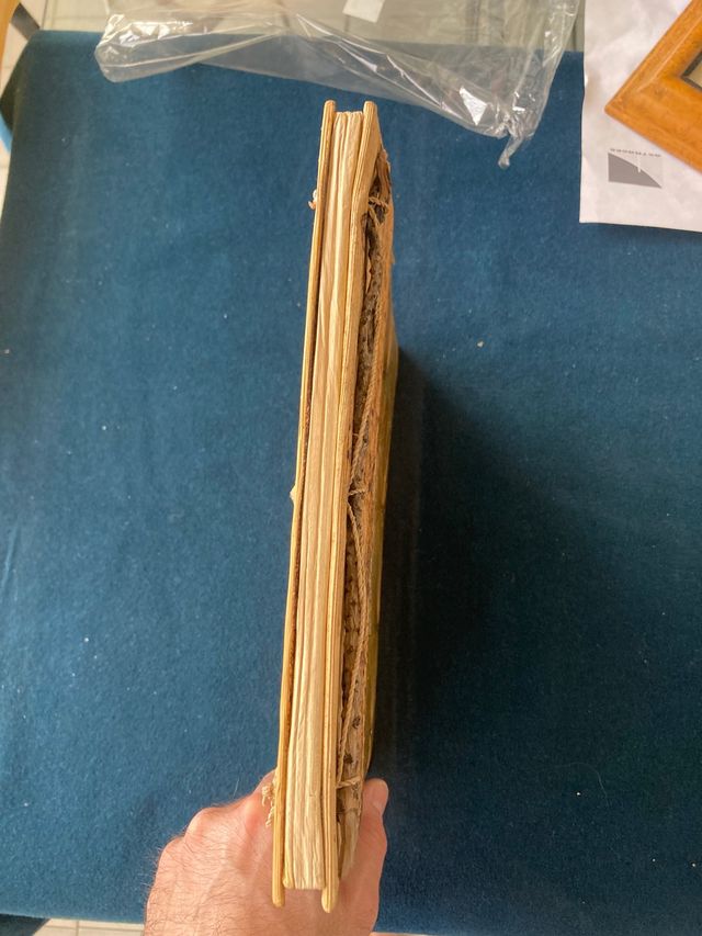 Álbum de fotos natural de hojas