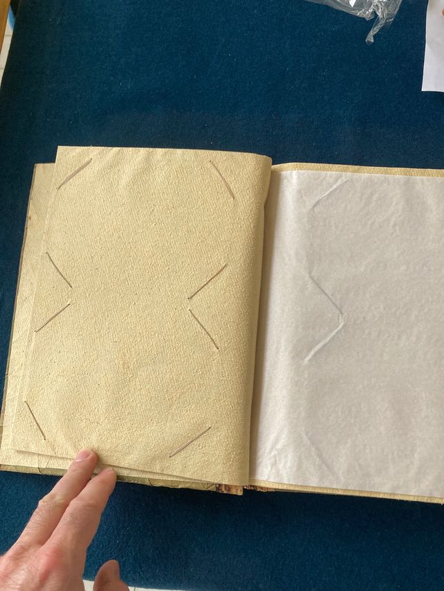 Álbum de fotos natural de hojas