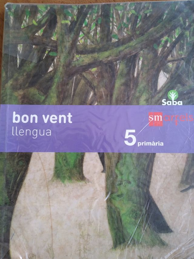 LIBRO DE VALENCIANO 5º PRIMARIA BON VENT, SM
