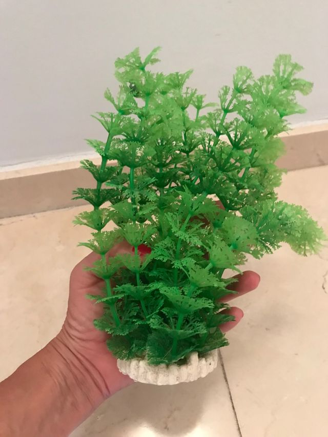 Piante artificiali da acquario 