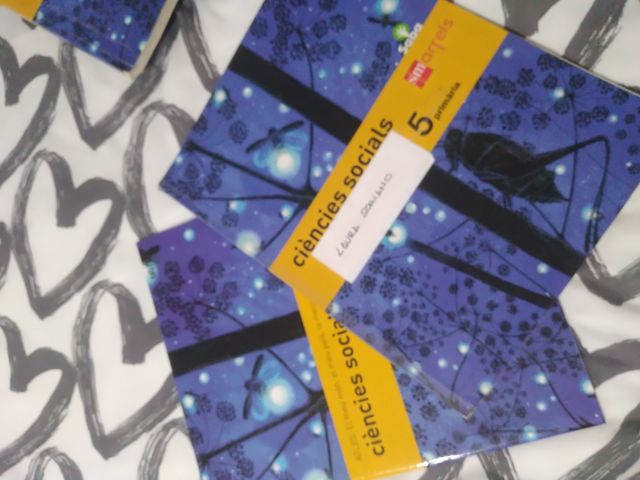ciencies sociales 5 primaria sm