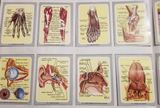 Album de cromos de VIDA Y COLOR 1992