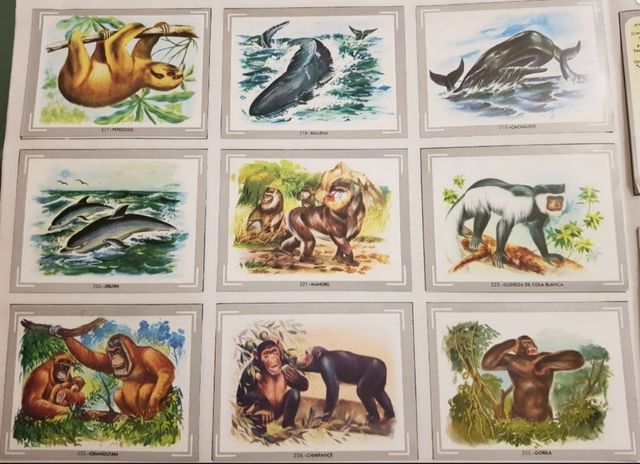 Album de cromos de VIDA Y COLOR 1992