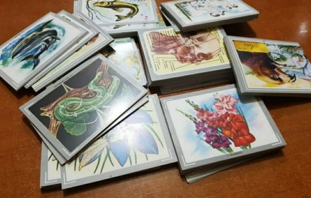 Album de cromos de VIDA Y COLOR 1992