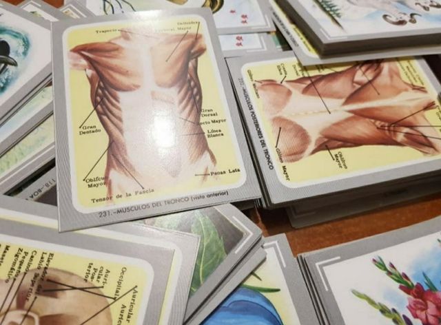 Album de cromos de VIDA Y COLOR 1992