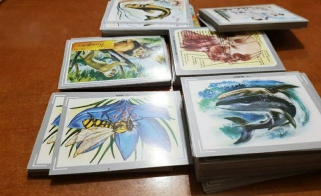 Album de cromos de VIDA Y COLOR 1992