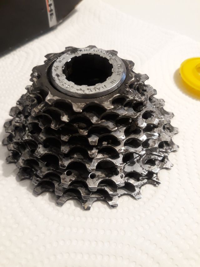 Piñonera campagnolo record