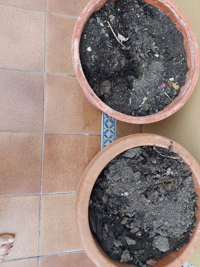 VENDO ESTE LOTE DE TIESTOS. 