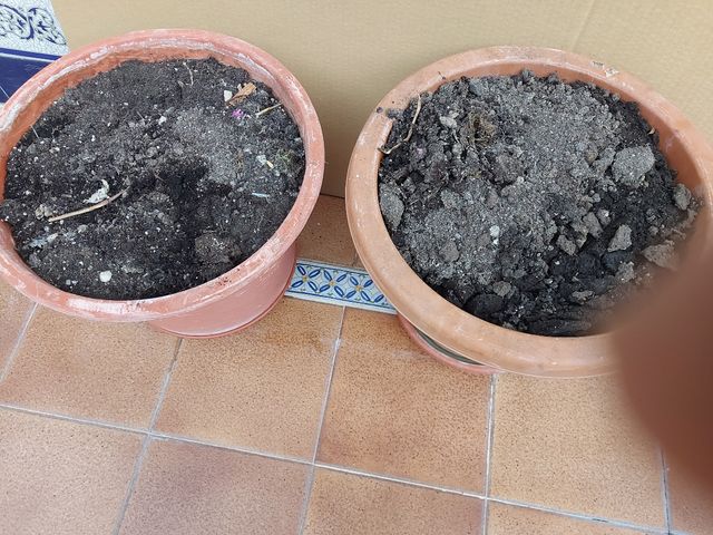 VENDO ESTE LOTE DE TIESTOS. 